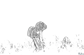 Mushroom Printable Coloring Nplooj Ntawv